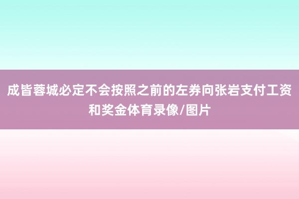 成皆蓉城必定不会按照之前的左券向张岩支付工资和奖金体育录像/图片