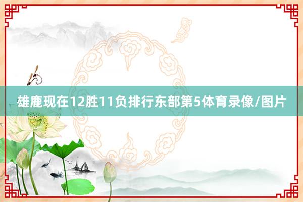 雄鹿现在12胜11负排行东部第5体育录像/图片