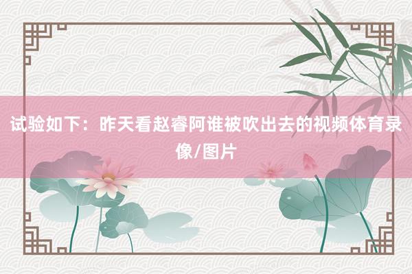 试验如下：昨天看赵睿阿谁被吹出去的视频体育录像/图片