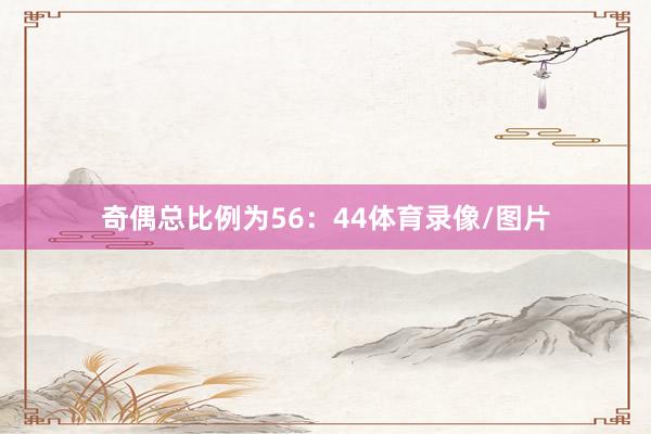奇偶总比例为56：44体育录像/图片