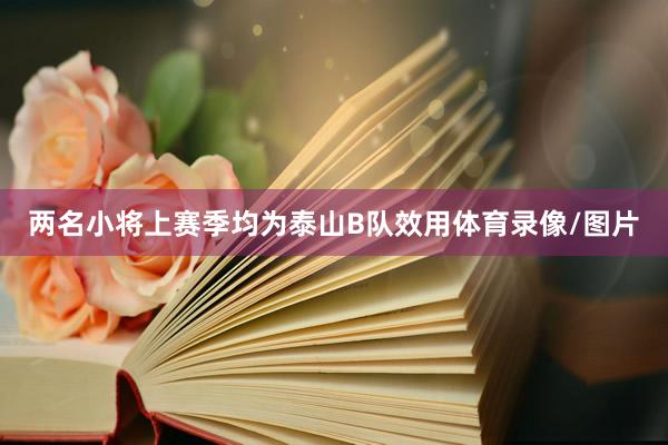 两名小将上赛季均为泰山B队效用体育录像/图片