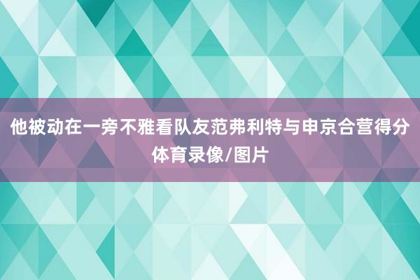 他被动在一旁不雅看队友范弗利特与申京合营得分体育录像/图片