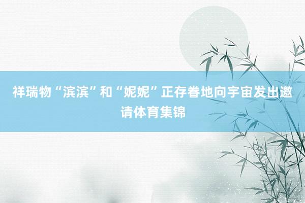祥瑞物“滨滨”和“妮妮”正存眷地向宇宙发出邀请体育集锦