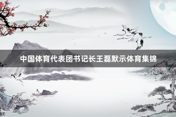 中国体育代表团书记长王磊默示体育集锦