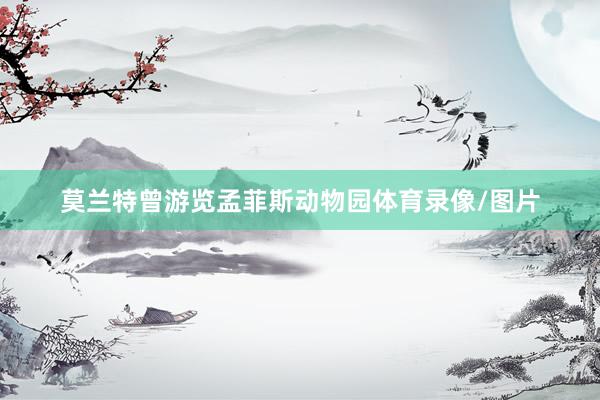 莫兰特曾游览孟菲斯动物园体育录像/图片