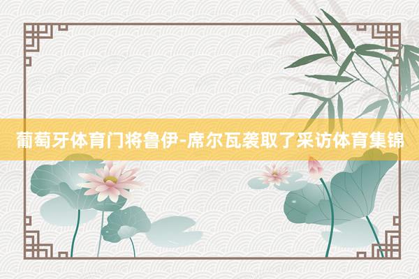 葡萄牙体育门将鲁伊-席尔瓦袭取了采访体育集锦