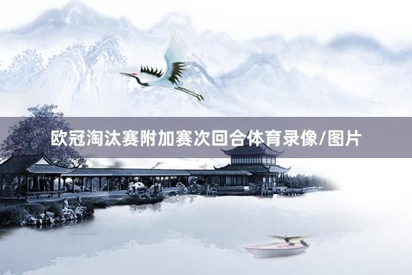 欧冠淘汰赛附加赛次回合体育录像/图片
