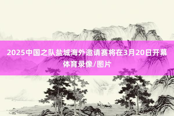 2025中国之队盐城海外邀请赛将在3月20日开幕体育录像/图片