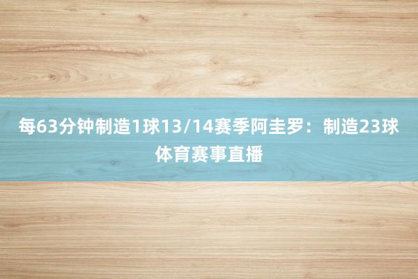 每63分钟制造1球13/14赛季阿圭罗：制造23球体育赛事直播