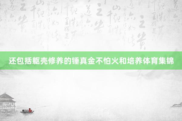 还包括躯壳修养的锤真金不怕火和培养体育集锦