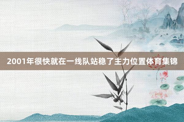 2001年很快就在一线队站稳了主力位置体育集锦