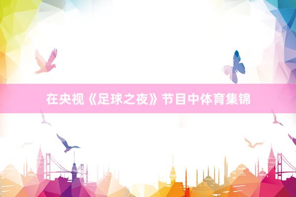 在央视《足球之夜》节目中体育集锦