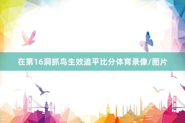 在第16洞抓鸟生效追平比分体育录像/图片