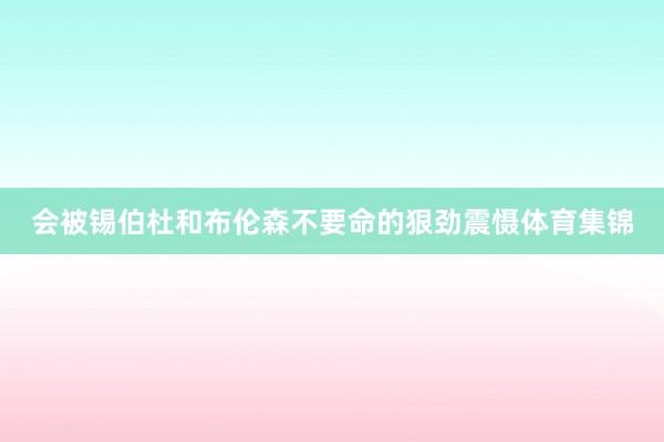 会被锡伯杜和布伦森不要命的狠劲震慑体育集锦
