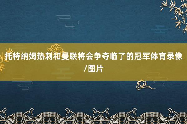 托特纳姆热刺和曼联将会争夺临了的冠军体育录像/图片