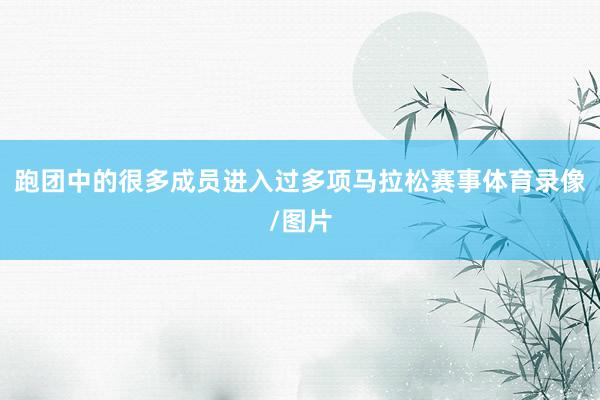 跑团中的很多成员进入过多项马拉松赛事体育录像/图片
