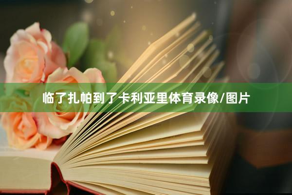 临了扎帕到了卡利亚里体育录像/图片