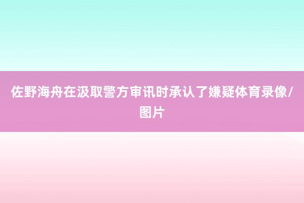 佐野海舟在汲取警方审讯时承认了嫌疑体育录像/图片