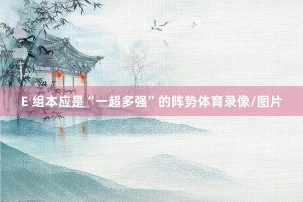 E 组本应是“一超多强”的阵势体育录像/图片