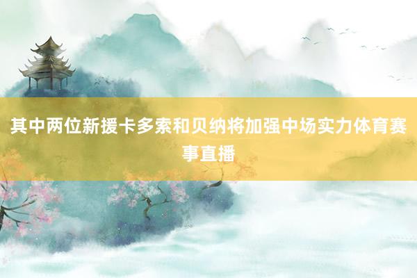 其中两位新援卡多索和贝纳将加强中场实力体育赛事直播