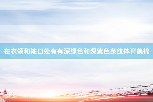在衣领和袖口处有有深绿色和深紫色条纹体育集锦
