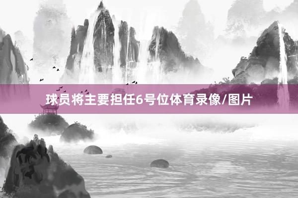 球员将主要担任6号位体育录像/图片