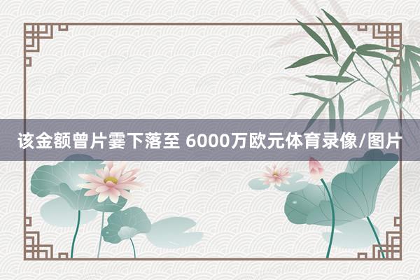 该金额曾片霎下落至 6000万欧元体育录像/图片