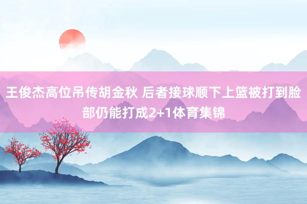王俊杰高位吊传胡金秋 后者接球顺下上篮被打到脸部仍能打成2+1体育集锦