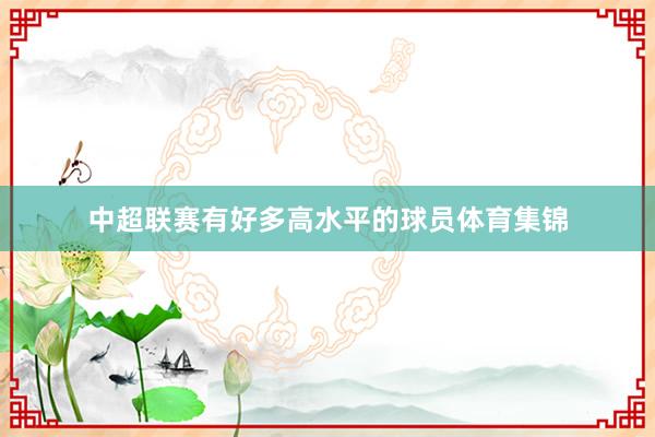 中超联赛有好多高水平的球员体育集锦