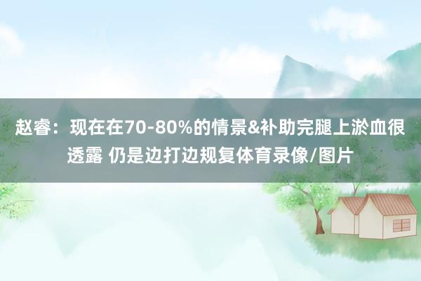 赵睿：现在在70-80%的情景&补助完腿上淤血很透露 仍是边打边规复体育录像/图片