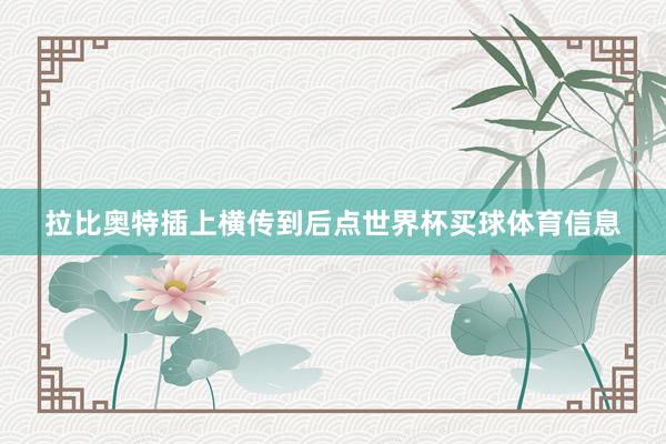 拉比奥特插上横传到后点世界杯买球体育信息