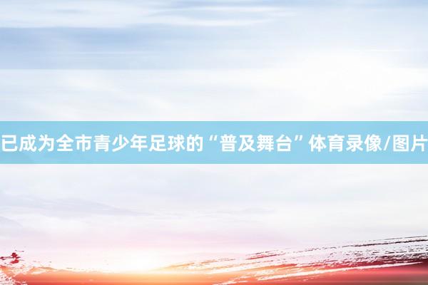 已成为全市青少年足球的“普及舞台”体育录像/图片