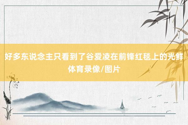 好多东说念主只看到了谷爱凌在前锋红毯上的光鲜体育录像/图片