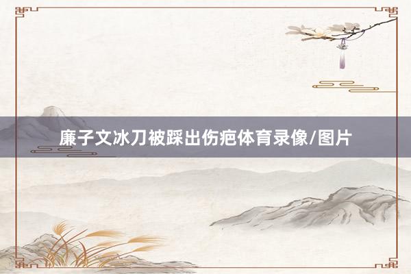 廉子文冰刀被踩出伤疤体育录像/图片