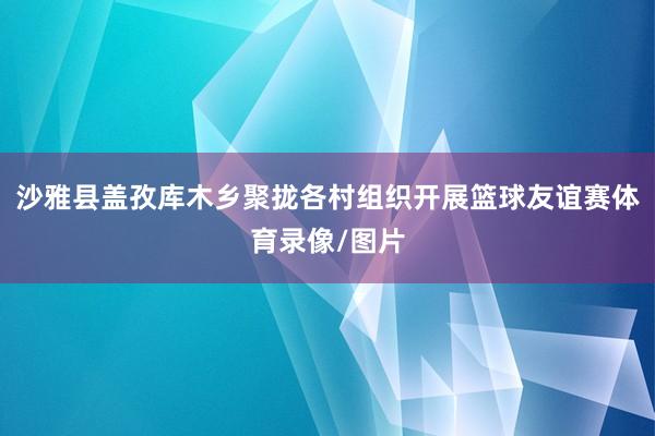 沙雅县盖孜库木乡聚拢各村组织开展篮球友谊赛体育录像/图片