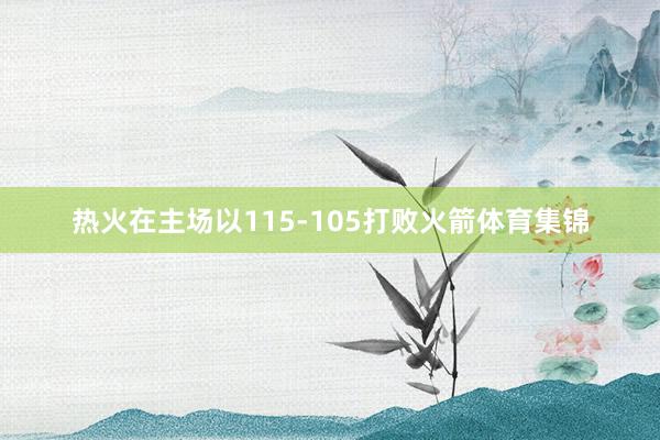 热火在主场以115-105打败火箭体育集锦