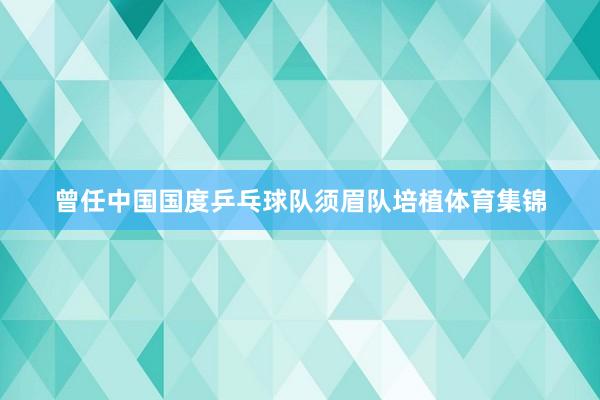 曾任中国国度乒乓球队须眉队培植体育集锦