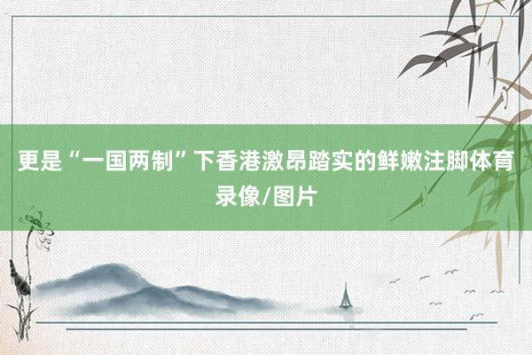 更是“一国两制”下香港激昂踏实的鲜嫩注脚体育录像/图片