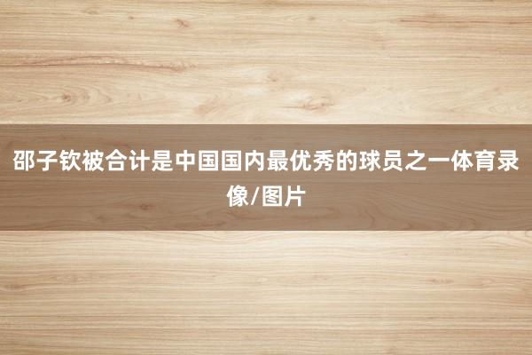 邵子钦被合计是中国国内最优秀的球员之一体育录像/图片