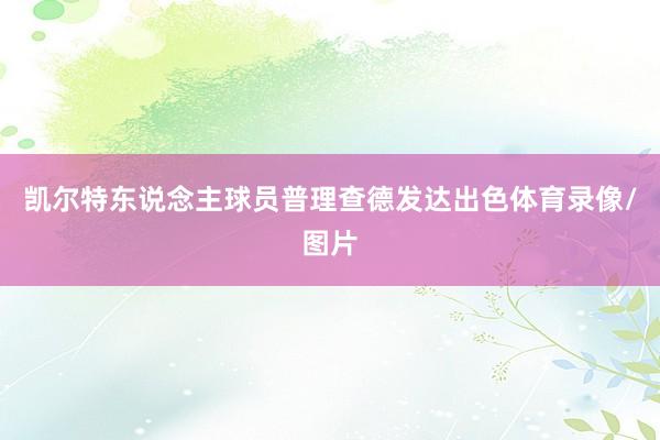 凯尔特东说念主球员普理查德发达出色体育录像/图片
