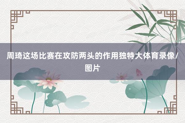 周琦这场比赛在攻防两头的作用独特大体育录像/图片
