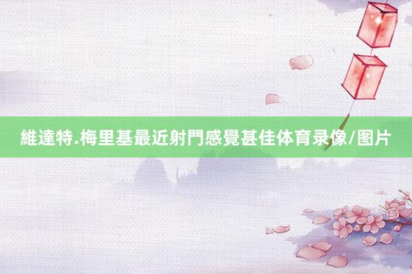 維達特.梅里基最近射門感覺甚佳体育录像/图片