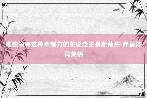 唯独领有这种牵制力的东说念主是斯蒂芬·库里体育集锦