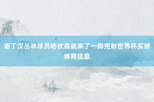 诺丁汉丛林球员哈钦森就来了一脚兜射世界杯买球体育信息