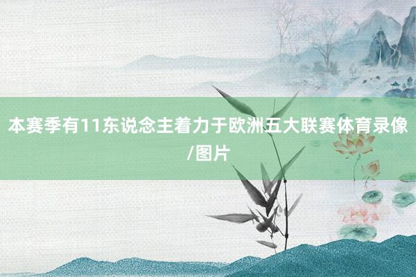 本赛季有11东说念主着力于欧洲五大联赛体育录像/图片