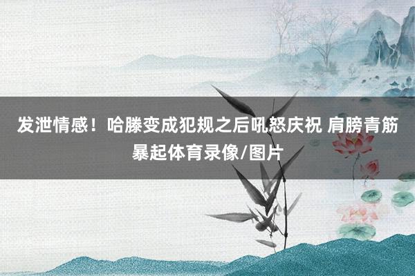 发泄情感！哈滕变成犯规之后吼怒庆祝 肩膀青筋暴起体育录像/图片
