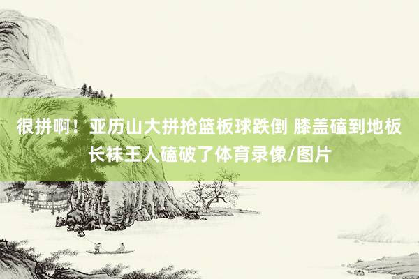 很拼啊！亚历山大拼抢篮板球跌倒 膝盖磕到地板长袜王人磕破了体育录像/图片