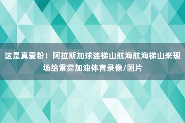 这是真爱粉！阿拉斯加球迷梯山航海航海梯山来现场给雷霆加油体育录像/图片