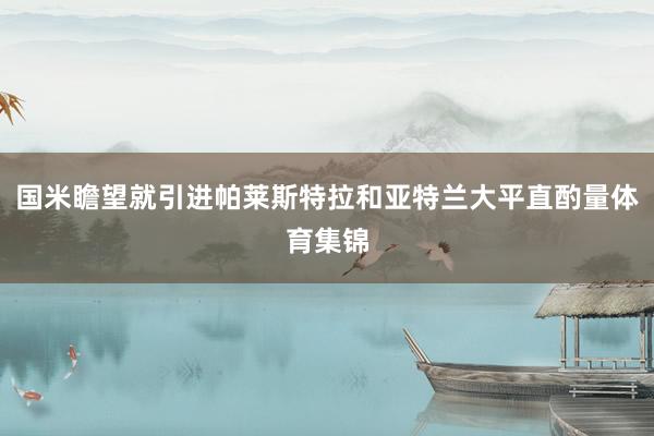 国米瞻望就引进帕莱斯特拉和亚特兰大平直酌量体育集锦