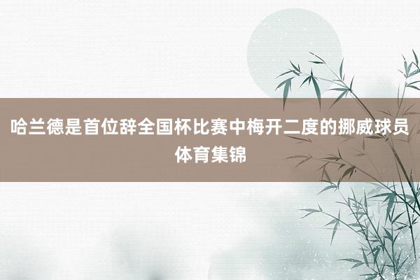哈兰德是首位辞全国杯比赛中梅开二度的挪威球员体育集锦